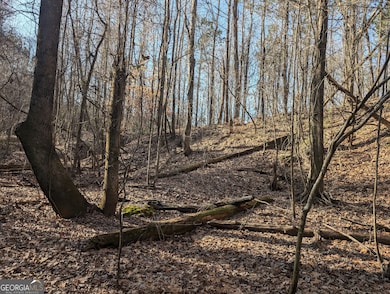 0 Parker Rd unit 10461595, Dry Branch, GA 31020 - photo 7