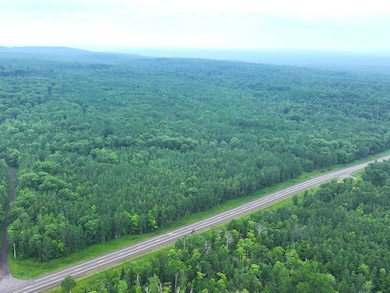 Aerial view of a forest