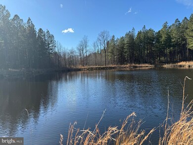 0 Longwood Dr unit VALA2007086, Louisa, VA 23093 - photo 6
