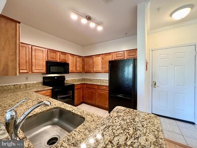 4561 Strutfield Ln unit 3306, Alexandria, VA 22311 - photo 7
