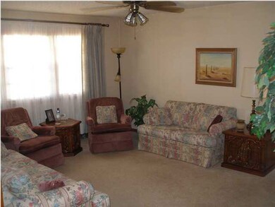 Large Living area with Back Yard View - Light & Br