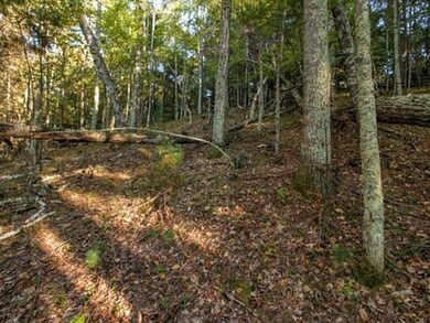 Lot 3 Other, Danbury, WI 54830 - photo 6