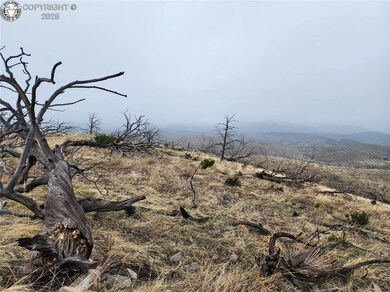000 K Path, Cotopaxi, CO 81223 - photo 4