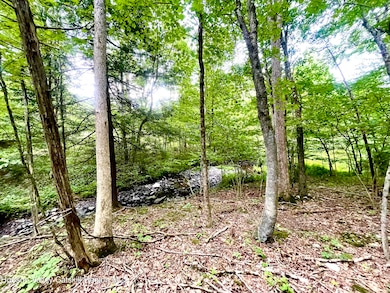 0 Cairo Junction Rd unit 20253145, Catskill, NY 12414 - photo 4