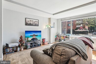 1111 Arlington Blvd unit 243, Arlington, VA 22209 - photo 3