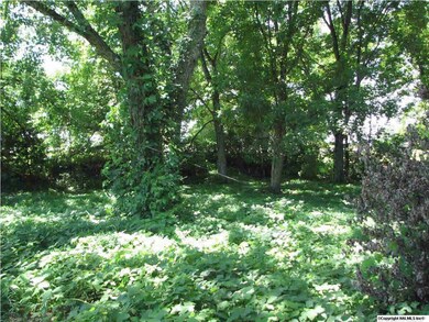 0 Cathedral Caverns Rd, Grant, AL 35747 - photo 4