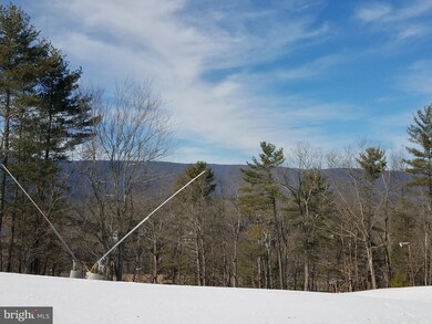 444 Aspen Way N, Basye, VA 22810 - photo 4