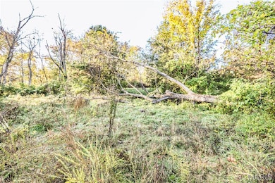 4591 Highway W, Byrnes Mill, MO 63051 - photo 5