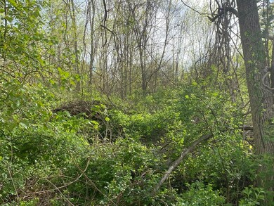 Lot 36 Oneill Rd, Warren, MA 01083 - photo 2