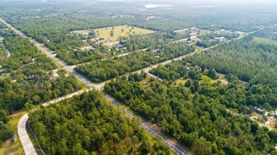 0 NW Lakeview Rd unit A11816327, Altha, FL 32421 - photo 3