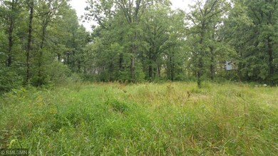 A pic of the possible food plot area with deer sta