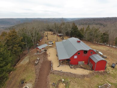 DJI_0925