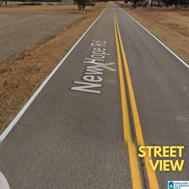 0 New Hope Rd, Madison, AL 35756 - photo 5