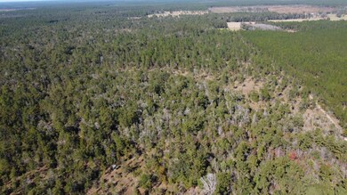 TBD Joe Lorenz Rd, Singer, LA 70660 - photo 6