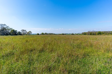 000 Morgan Ln, Sheridan Township, MO 65648 - photo 7