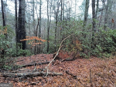 Lot 39 Kells Ridge Dr unit 39, Ellijay, GA 30540 - photo 5