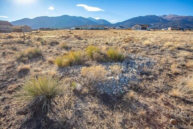 16670 Allen Dr unit 35, Buena Vista, CO 81211 - photo 3