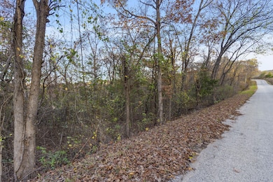 24 & 25 Lakeview Dr, Hollister, MO 65672 - photo 4