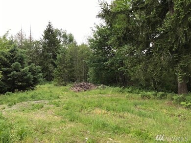 30719 70th Ave E, Graham, WA 98338 - photo 4