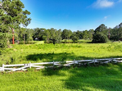 00 6th St NW, Cairo, GA 39828 - photo 4