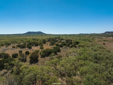 TBD U S Highway 83, Ovalo, TX 79541 - photo 3