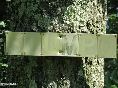 171 Evergreen Ln, Catawissa, PA 17820 - photo 4