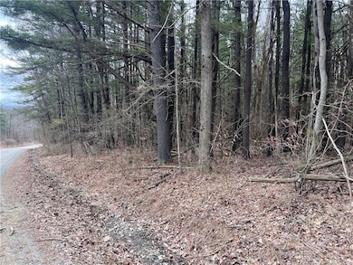 unlisted-address, Lindley, NY 14858 - photo 4