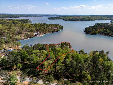 Phase 1 Lot 41 (2 of 19)-blue water lot