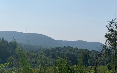 Additional View