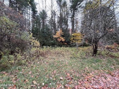 L34 Truesdale Hill Rd, Lake George, NY 12845 - photo 7