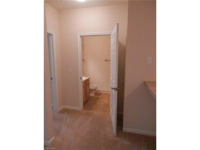 1409 Aqua Marine Blvd, Avon Lake, OH 44012 - photo 7