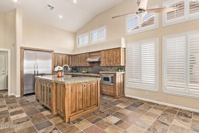 11 - Desert Broom 3162