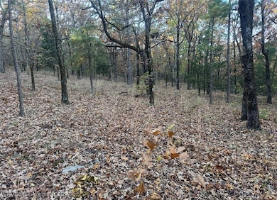 TBD Bengal Rd, Talihina, OK 74571 - photo 6