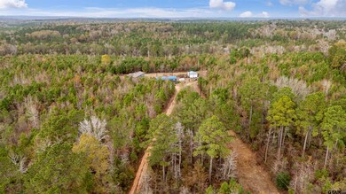 2528 Farm To Market Road 1798 W, Laneville, TX 75667 - photo 6