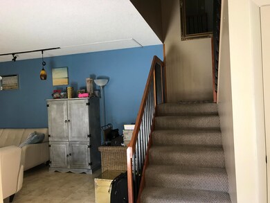 IMG_0501
