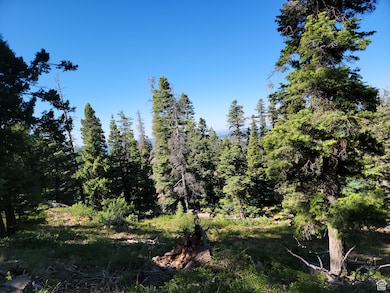 6220 W Brook Ln, Duck Creek, UT 84762 - photo 5