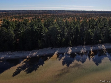 4680 S Bay Mills Point Rd, Brimley, MI 49715 - photo 2