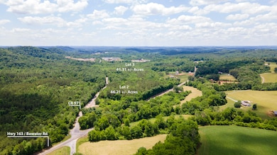 Lot 2 State Highway 163, Calhoun, TN 37308 - photo 2