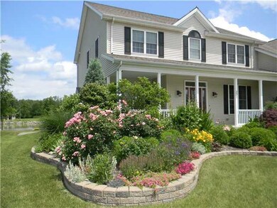 Yard/Garden