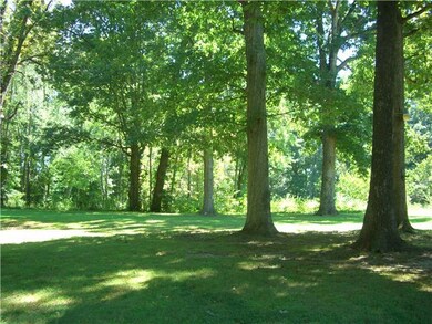 GORGEOUS TALL MATURED TREES