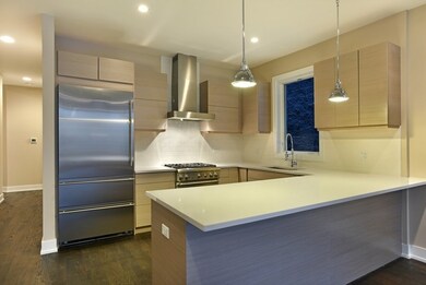 1115 N Paulina St unit 3, Chicago, IL 60622 - photo 2