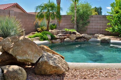 Back Yard Oasis