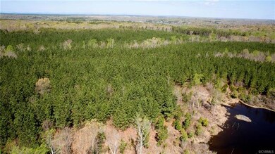 0 Will Johnson Rd, Patrick Henry, VA 23093 - photo 6