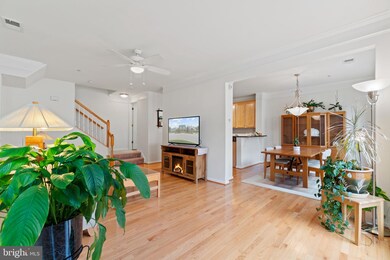 41943 Blue Flag Terrace, Stone Ridge, VA 20105 - photo 5