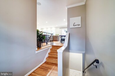 8413 Conover Place, Alexandria, VA 22308 - photo 4