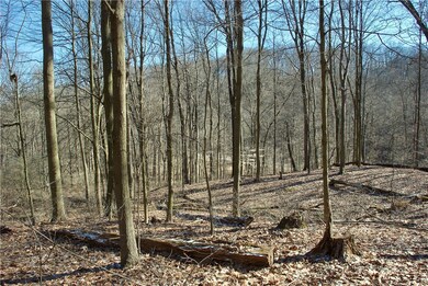 Northern Portion of lot containing 2nd conceptual buildable area of over 52K SF.