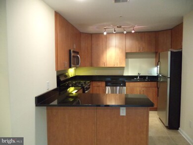 1142 Cove Rd unit 201, Annapolis, MD 21403 - photo 3