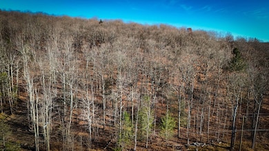 WP-01 Langford Creek Rd, van Etten, NY 14889 - photo 4