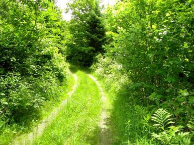 47 Fish Pond Rd, Colebrook, NH 03576 - photo 4