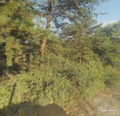 2694 Ray St, Birmingham, AL 35224 - photo 2